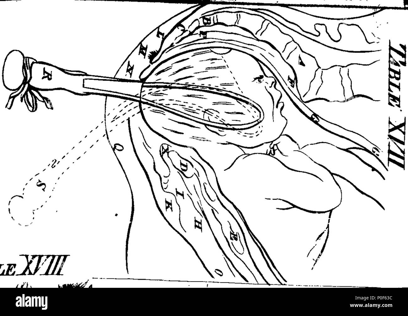 . Inglese: Fleuron dal libro: un trattato sulla teoria e la pratica di ostetricia, al quale è stato aggiunto un set di piastre anatomiche, espone i vari casi che si verificano in pratica, accuratamente incisi, con spiegazioni. Da W. Smellie, M.D. in tre parti. parte I. 238 un trattato sulla teoria e la pratica di ostetricia Fleuron n014167-15 Foto Stock