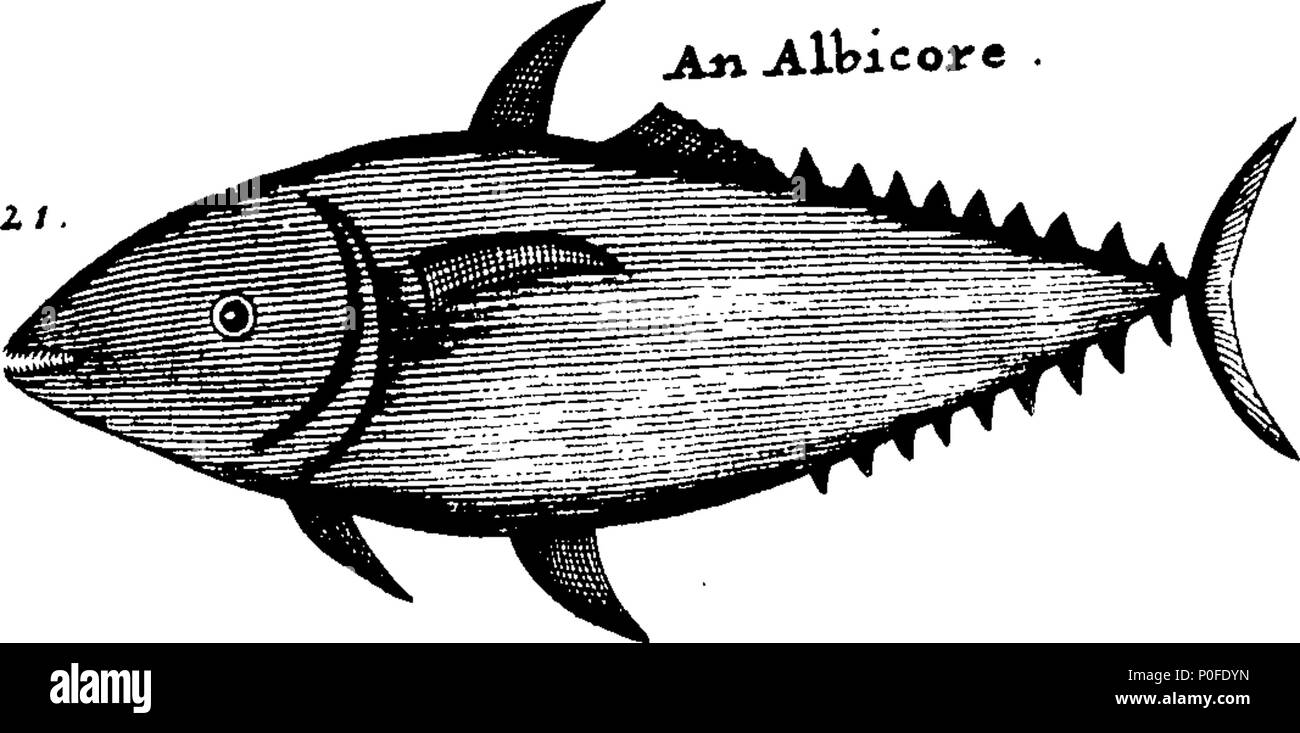 . Inglese: Fleuron dal libro: un viaggio intorno al mondo. Contenente un account del capitano Dampier per la spedizione nel South-Seas nella nave St George, negli anni 1703 e 1704. Con le sue varie avventure, Impegni, &c. E un particolare e una descrizione esatta di diverse isole nell'Oceano Atlantick, la costa brasiliana, il passaggio round Cape Horn e le coste del peperoncino, Perù e Messico. Insieme con l'autore del viaggio da Amapalla sul Est-Coast del Messico East-India. Il suo passaggio da tre isole sconosciute, e montaggio passante un New-Discover'd Streight vicino alla costa della Nuova Guinea; il suo Foto Stock . Inglese: Fleuron dal libro: un viaggio intorno al mondo. Contenente un account del capitano Dampier per la spedizione nel South-Seas nella nave St George, negli anni 1703 e 1704. Con le sue varie avventure, Impegni, &c. E un particolare e una descrizione esatta di diverse isole nell'Oceano Atlantick, la costa brasiliana, il passaggio round Cape Horn e le coste del peperoncino, Perù e Messico. Insieme con l'autore del viaggio da Amapalla sul Est-Coast del Messico East-India. Il suo passaggio da tre isole sconosciute, e montaggio passante un New-Discover'd Streight vicino alla costa della Nuova Guinea; il suo Foto Stock