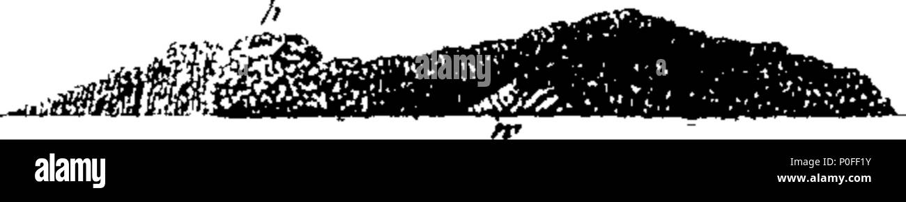 . Inglese: Fleuron dal libro: un viaggio in Nuova Guinea e Isole Molucche, da Balambangan: tra cui un account di Magindano, Sooloo, e altre isole; e illustrato con trenta copperplates. Eseguite nel tartaro Galley, appartenente all'onorevole East India Company, durante gli anni 1774, 1775, e 1776, dal capitano Thomas Forrest. A cui si aggiunge un vocabolario della lingua Magindano. 251 di un viaggio in Nuova Guinea Fleuron T076181-32 Foto Stock