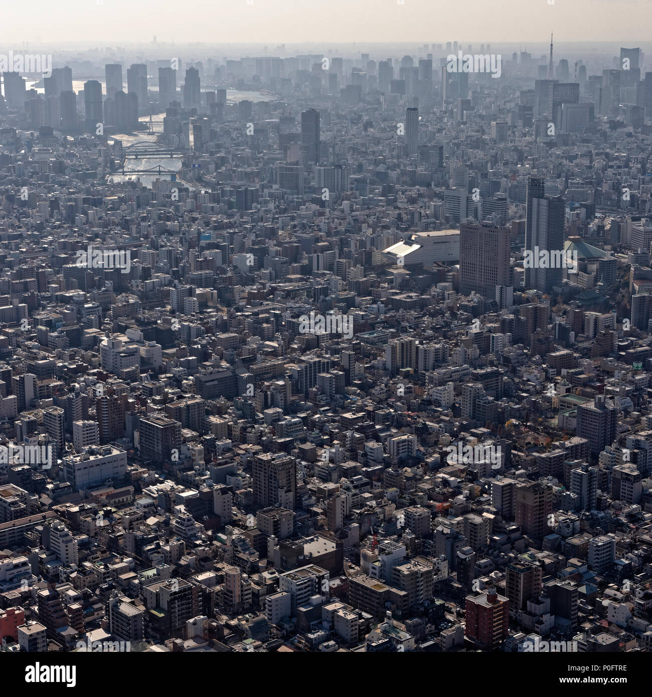 Vista di Tokyo in Giappone dal skytree Foto Stock