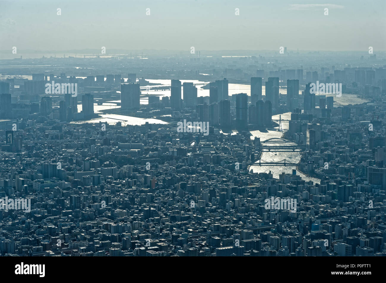 Vista di Tokyo in Giappone dal skytree Foto Stock