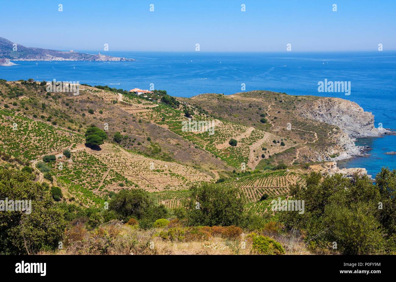 Spiaggia rocciosa nella riserva marina di Cerbere Banyuls, mare Mediterraneo, Pirenei orientali, Francia Foto Stock