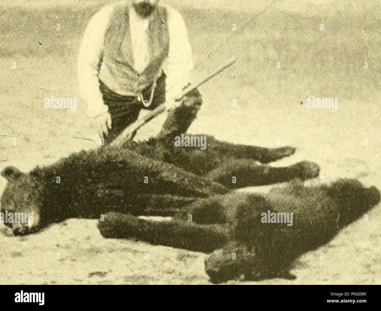 "La caccia e la pesca in Florida, tra cui una chiave di uccelli acquatici noto verificarsi nello stato" (1896) Foto Stock