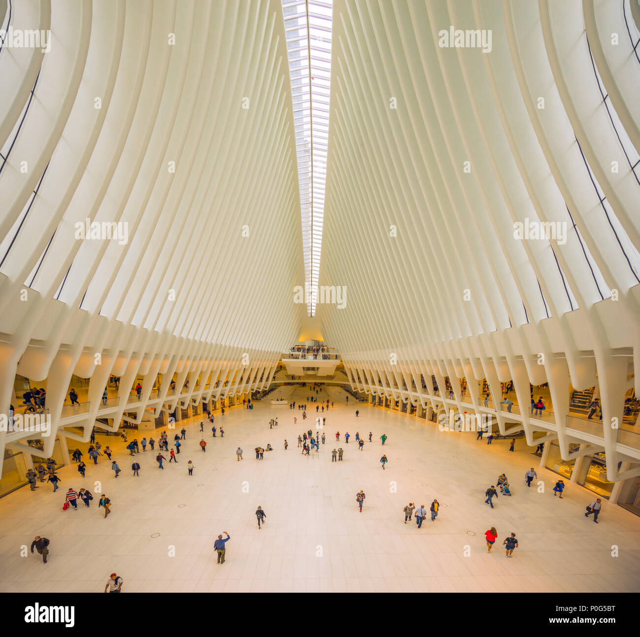 All'interno del World Trade Center Hub di trasporto, con il suo unico e bellissimo costruzione dello scheletro Foto Stock