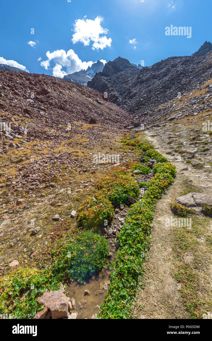 Paesaggio di Zailiyskiy Alatau. Il Kazakistan Foto Stock