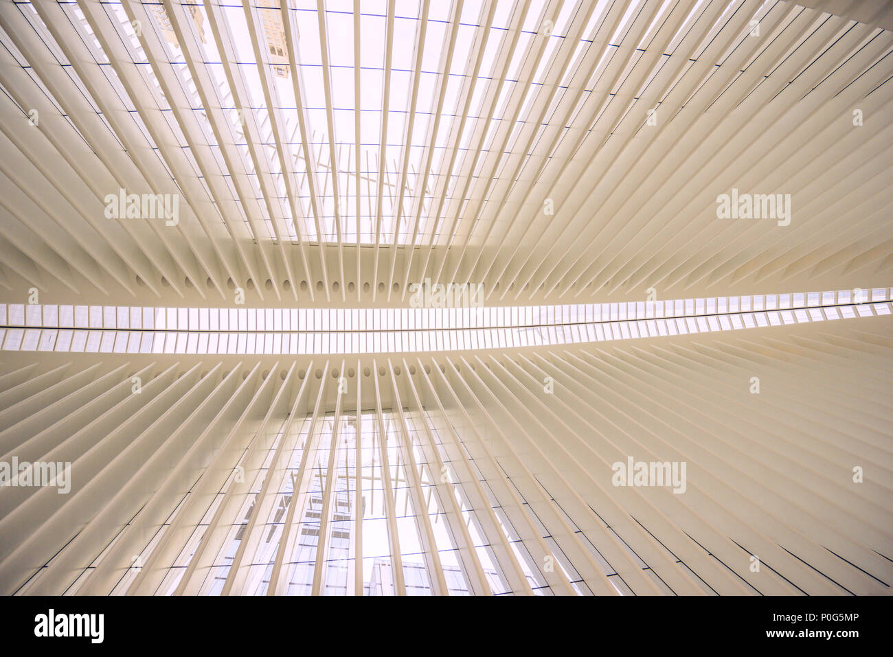 All'interno del World Trade Center Hub di trasporto, con il suo unico e bellissimo costruzione dello scheletro Foto Stock