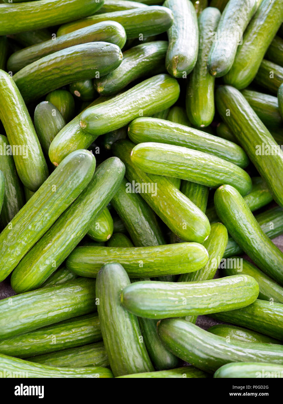 Un sacco di fresco cetrioli organici al mercato Foto Stock