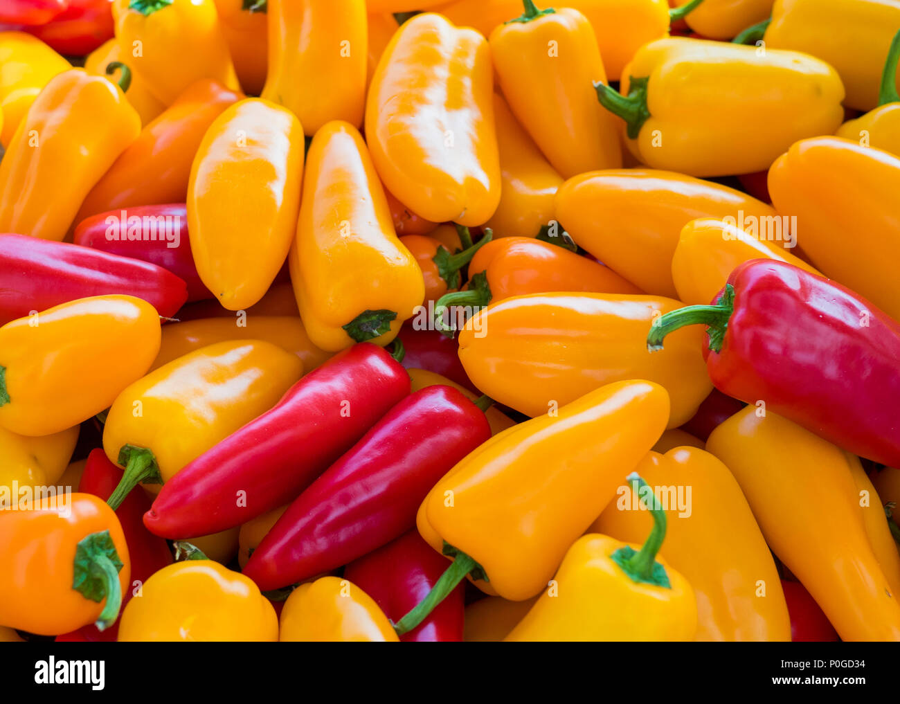 Assortimento di fresco organico rosso, giallo e arancione jalapeño peperoni Foto Stock