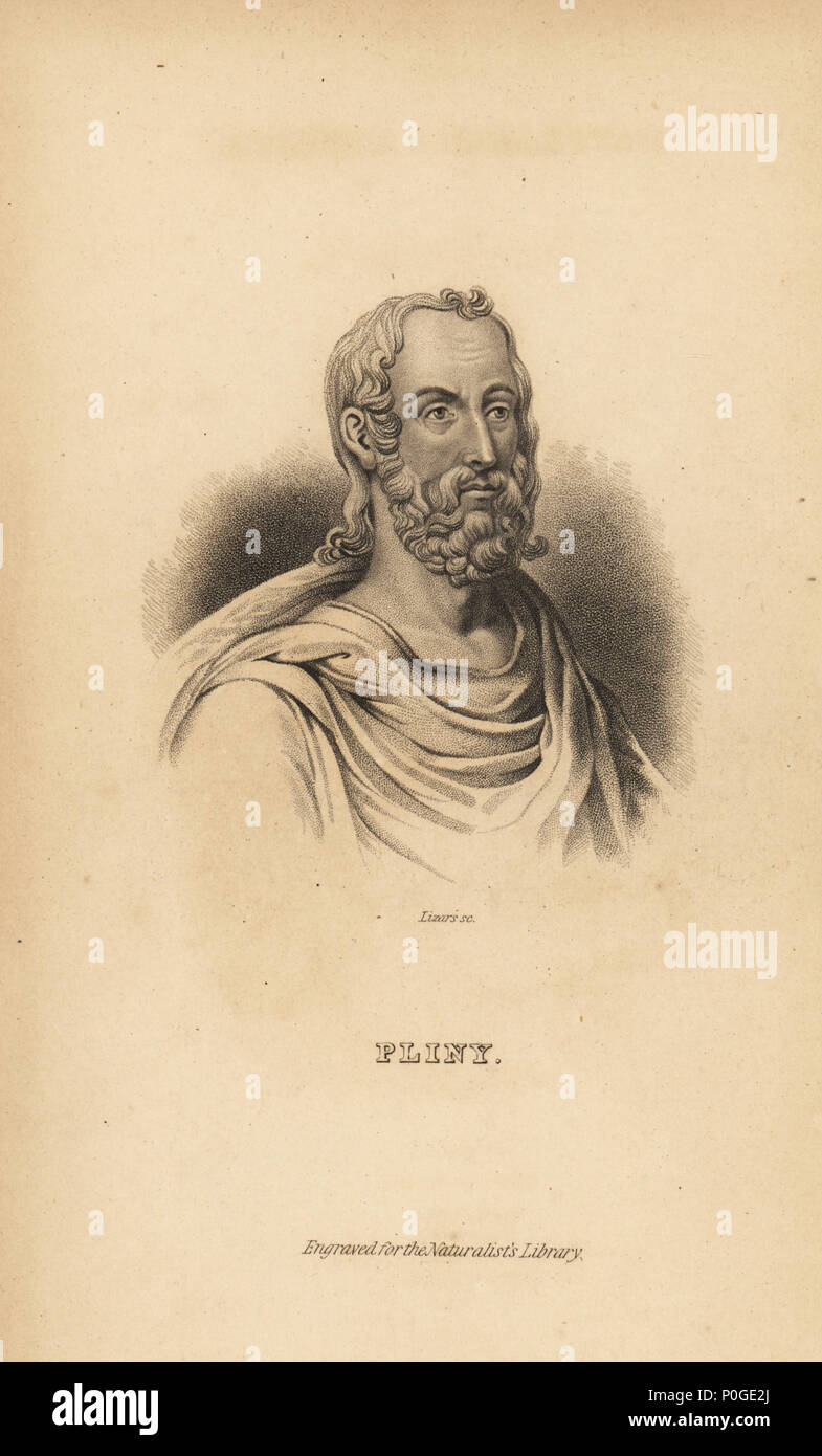 Plinio il Vecchio, Gaio Plinio Secundus, autore romano, naturalista e filosofo naturale, annuncio23-79. Incisione in acciaio da Lizars da Sir William Jardine è il naturalista biblioteca, W.H. Lizars, Edimburgo, 1843. Foto Stock