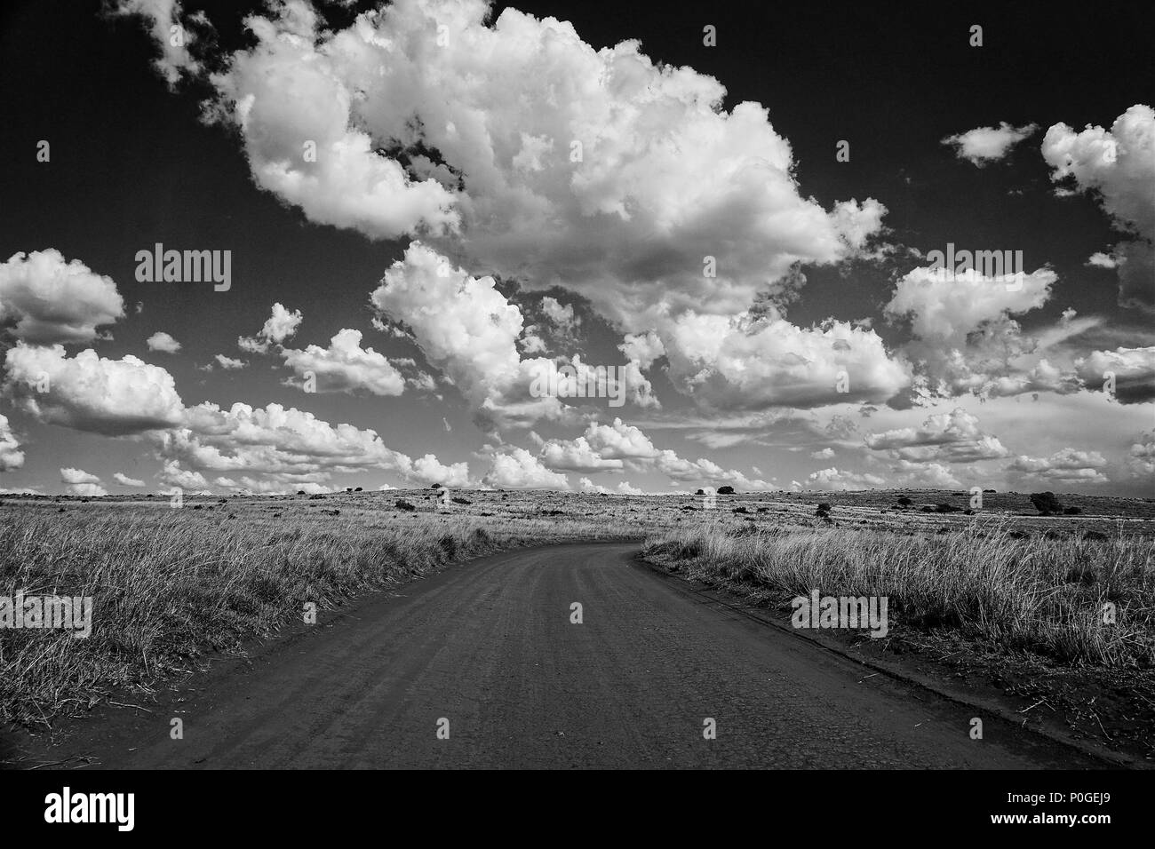 Safari Road vicino a Johannesburg in Sud Africa Foto Stock