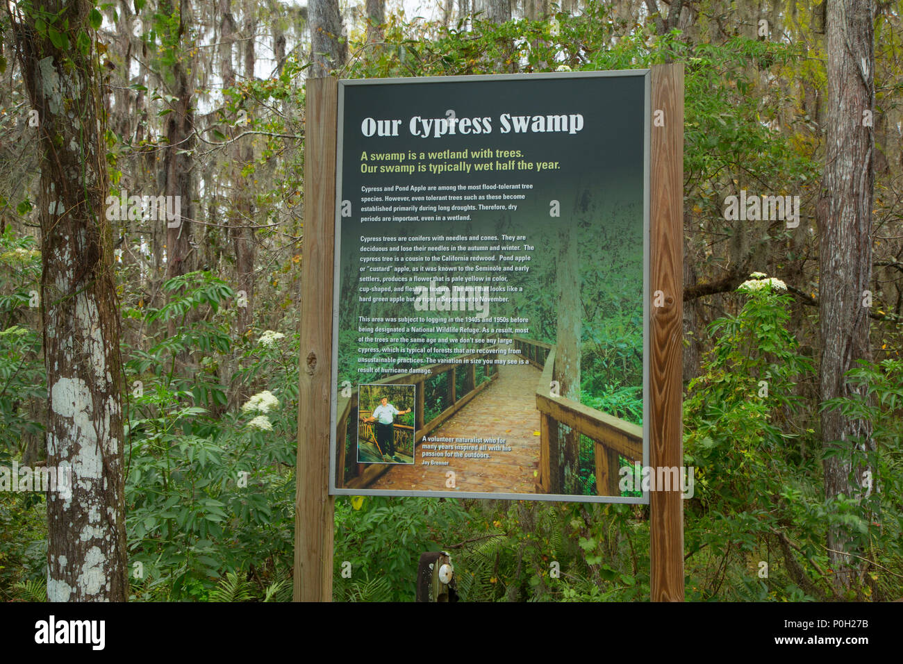 Cypress Boardwalk segnavia, Arthur R. Loxahatchee National Wildlife Refuge, Florida Foto Stock