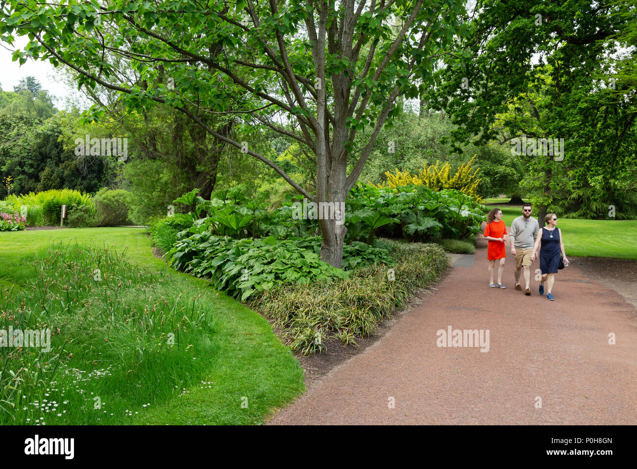 I visitatori a piedi nei Royal Botanic Garden, Edimburgo, Scozia UK Foto Stock