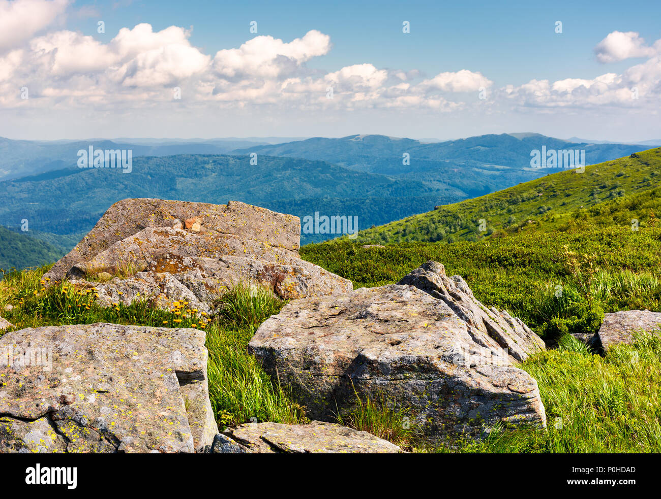 Rocce sul bordo di un pendio erboso. gialla di tarassaco tra le rocce. bellissimo paesaggio naturale in montagna Foto Stock