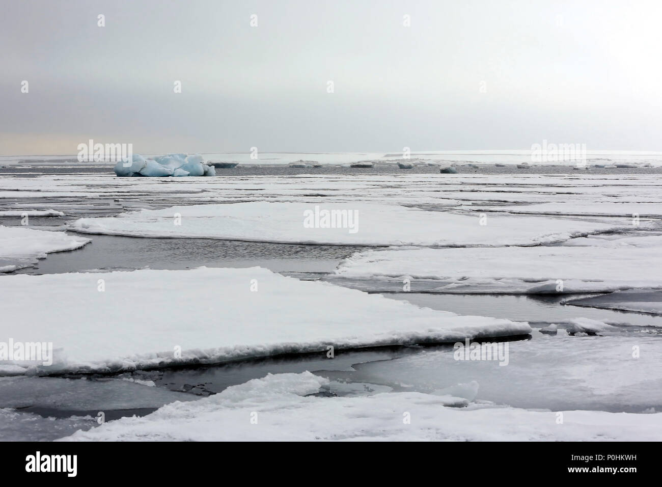 Ice-floes e acqua, al di fuori di Spitsbergen. Svalbard, Norvegia Foto Stock