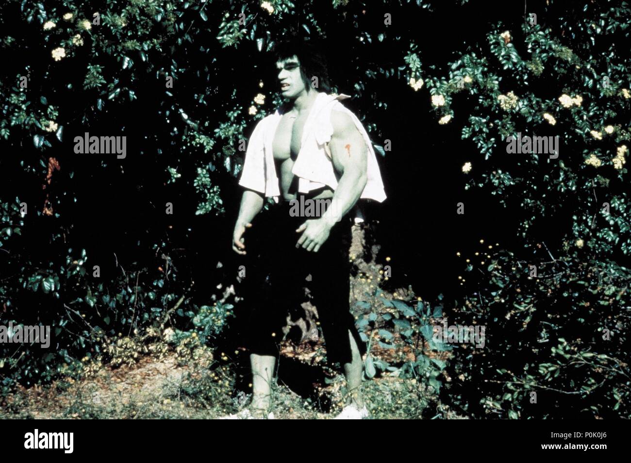 The incredible hulk tv bill bixby immagini e fotografie stock ad alta ...