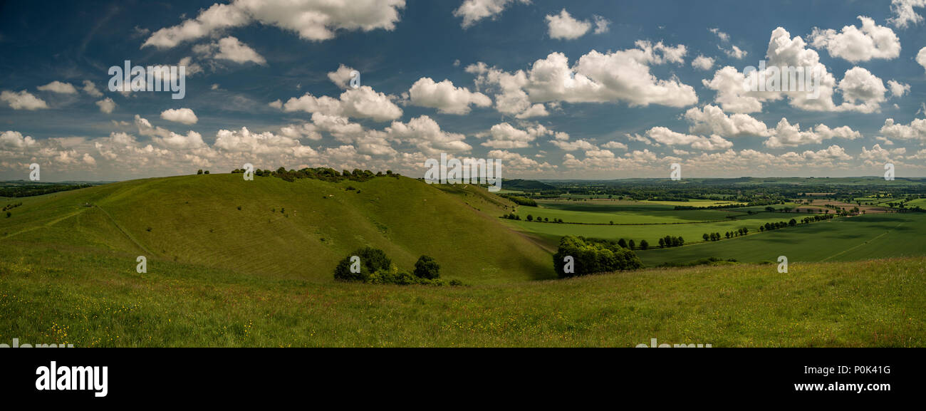 Palla dorata Hill visto da Knap Hill Neolitico causewayed enclosure nella valle di Pewsey, Wiltshire, Regno Unito Foto Stock