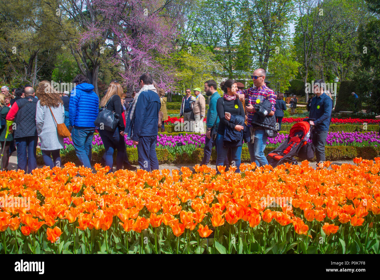 Le persone che visitano il giardino di tulipani. Royal Botanical Garden, Madrid, Spagna. Foto Stock