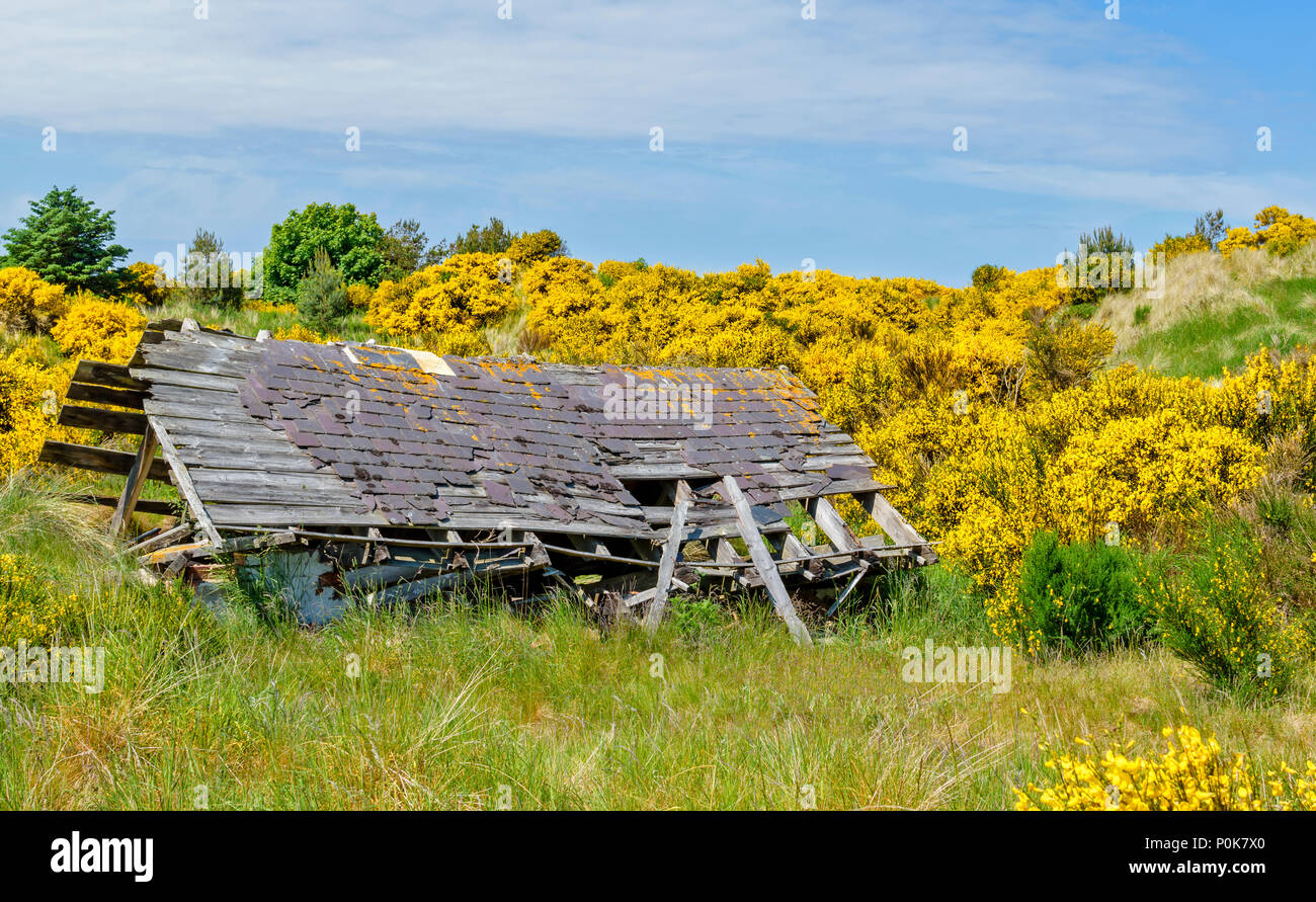 Spiaggia di CULBIN MORAY Scozia rimane di derelitti piccola casa tra le dune Foto Stock