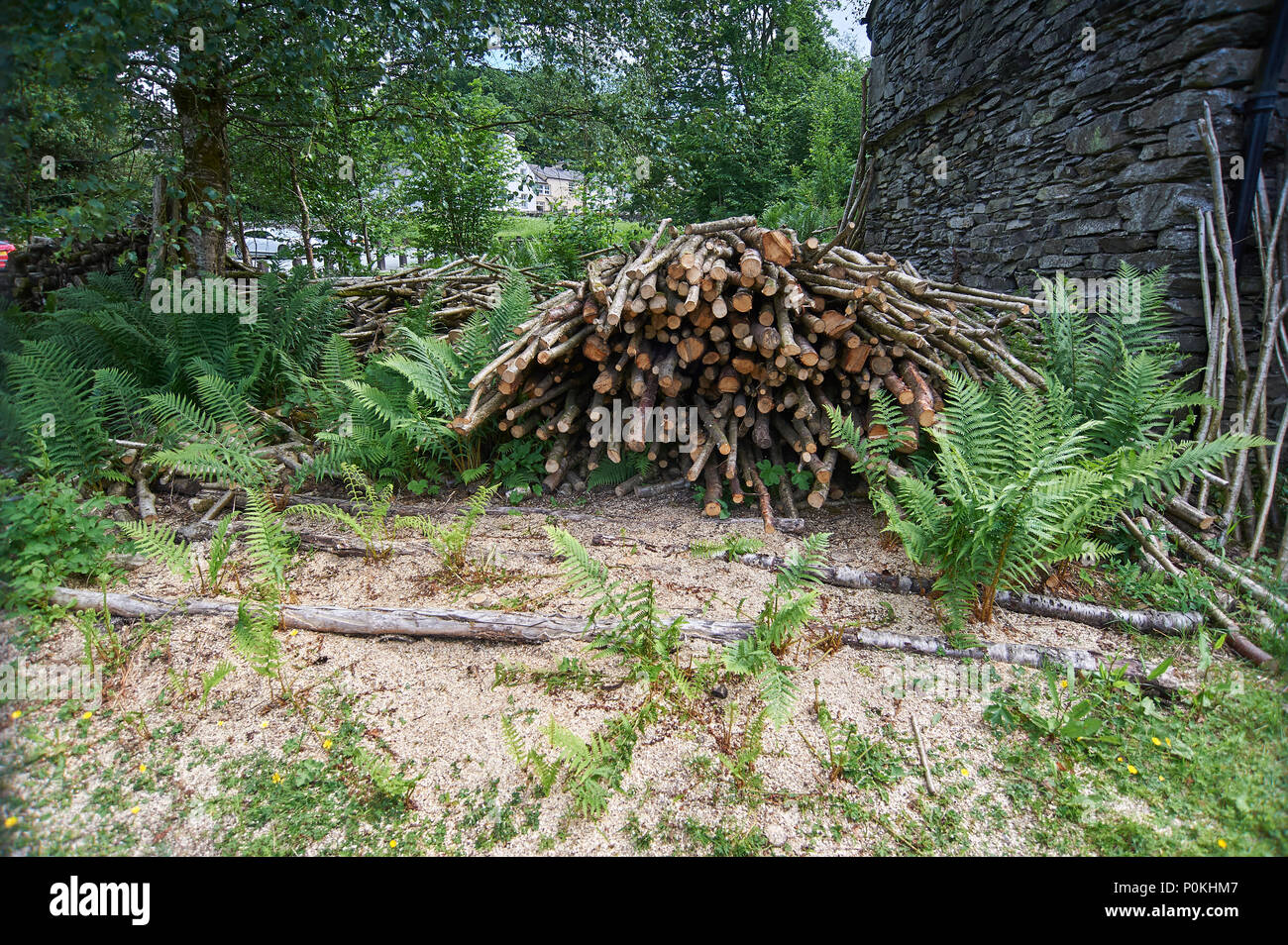 Legno impilati l'asciugatura prima di utilizzare in un mulino rocchetto, Stott Park Rocca mill, Finsthwaite, South Lakeland, Cumbria, Regno Unito, GB Foto Stock