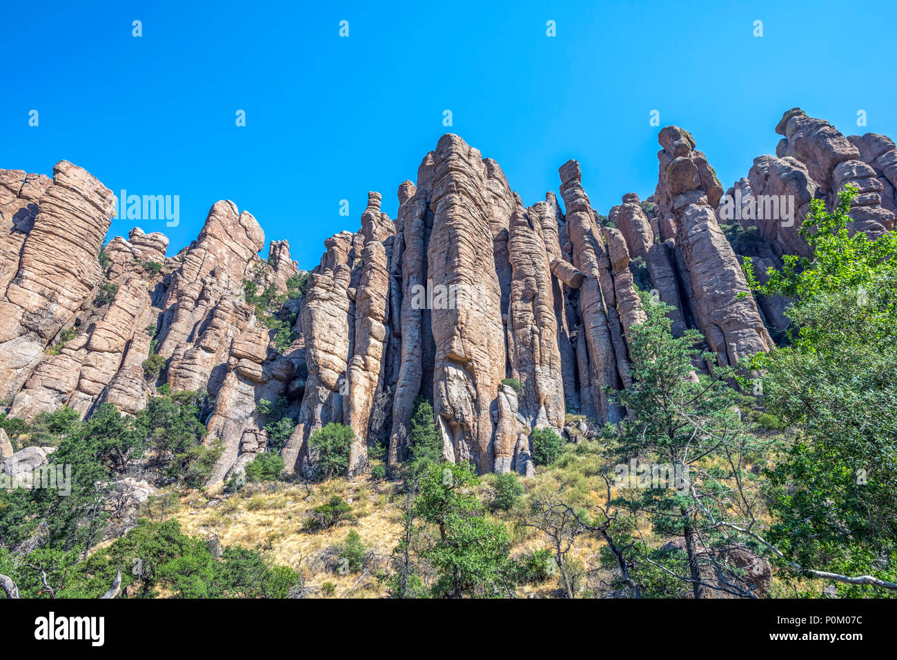 Organo a canne formazione. Chiricahua National Monument, Willcox, Arizona. Foto Stock