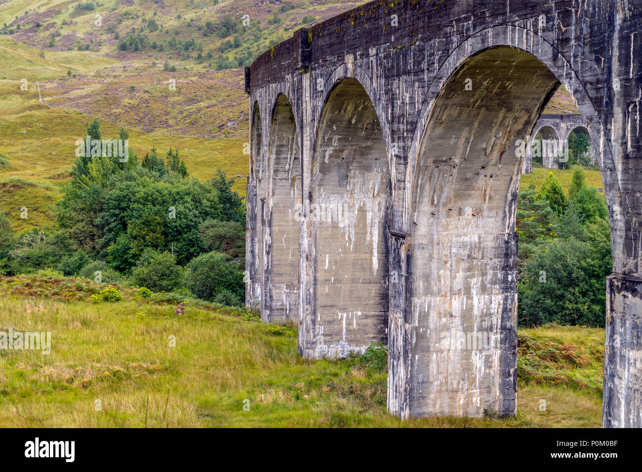 Un caro vicino alla famosa Glenfinnan viadotto ferroviario in Scozia Foto Stock
