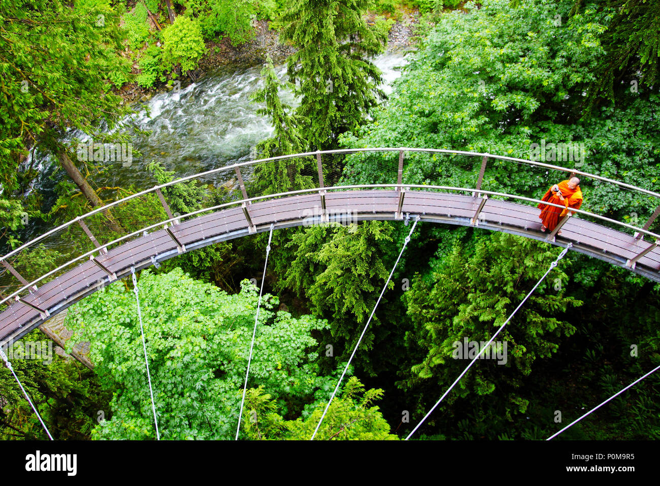 VANCOUVER - giu 29, 2011: un visitatore esplora Vancouver il Capilano Cliff Walk attraverso la vegetazione della foresta pluviale, una appendice a sbalzo e la passerella sospesa jutti Foto Stock