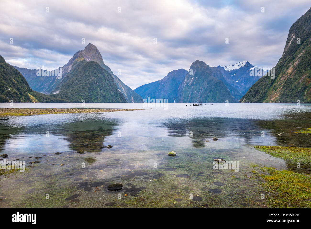 Milford Sound (Piopiotahi) è una famosa attrazione nel Parco Nazionale di Fiordland,'Isola Sud della Nuova Zelanda Foto Stock