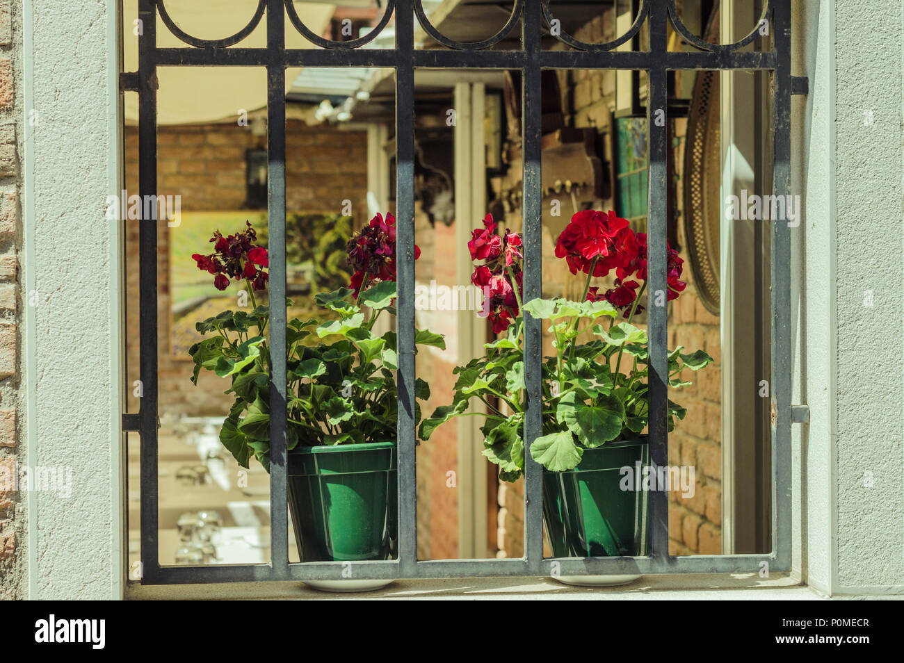 Due vasi di fiori sul davanzale per esterno Foto Stock