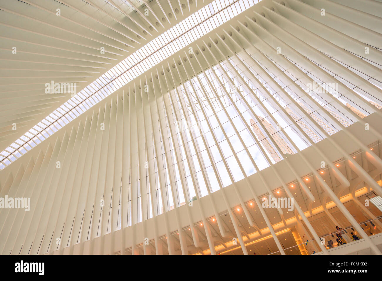 All'interno del World Trade Center Hub di trasporto, con il suo unico e bellissimo costruzione dello scheletro Foto Stock