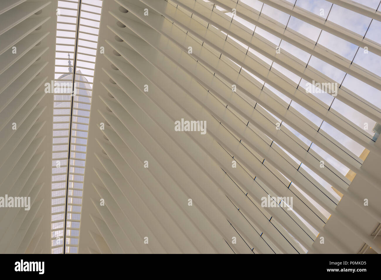 All'interno del World Trade Center Hub di trasporto, con il suo unico e bellissimo costruzione dello scheletro Foto Stock