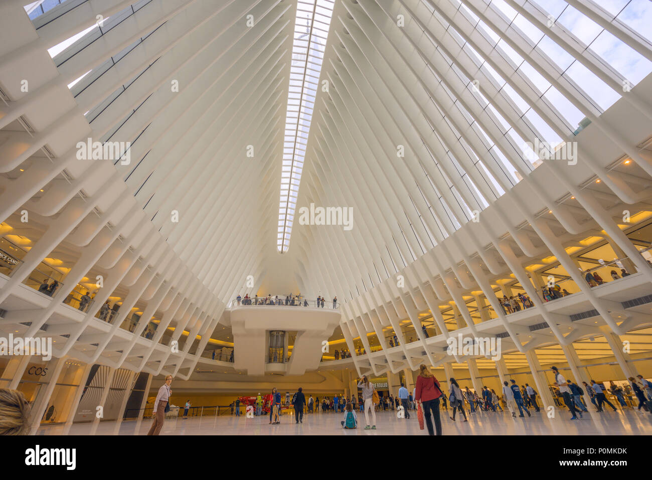 All'interno del World Trade Center Hub di trasporto, con il suo unico e bellissimo costruzione dello scheletro Foto Stock
