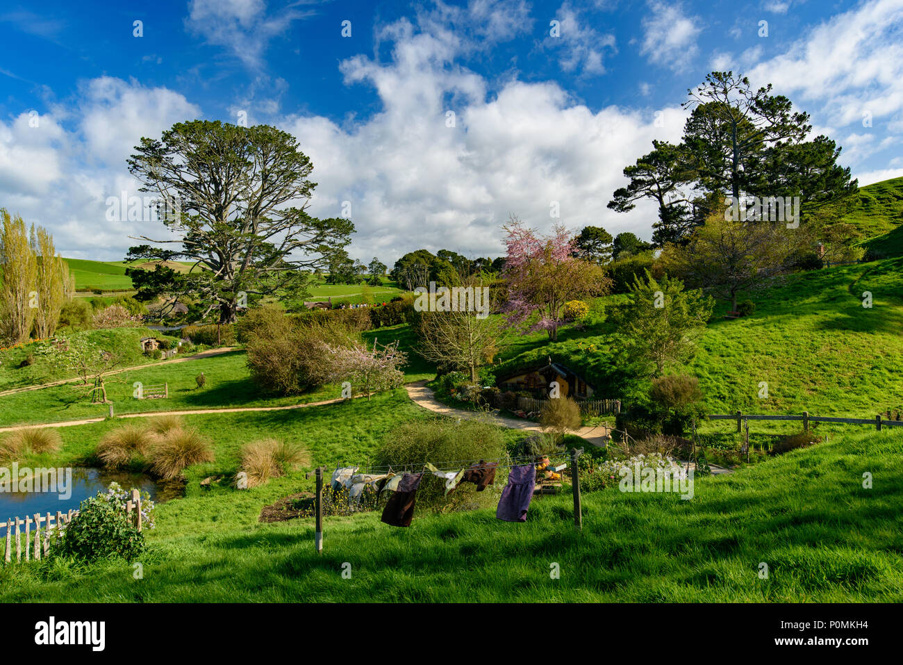 Hobbiton Movie set di Shire nel Signore degli Anelli e Lo Hobbit trilogie, Matamata, Nuova Zelanda Foto Stock