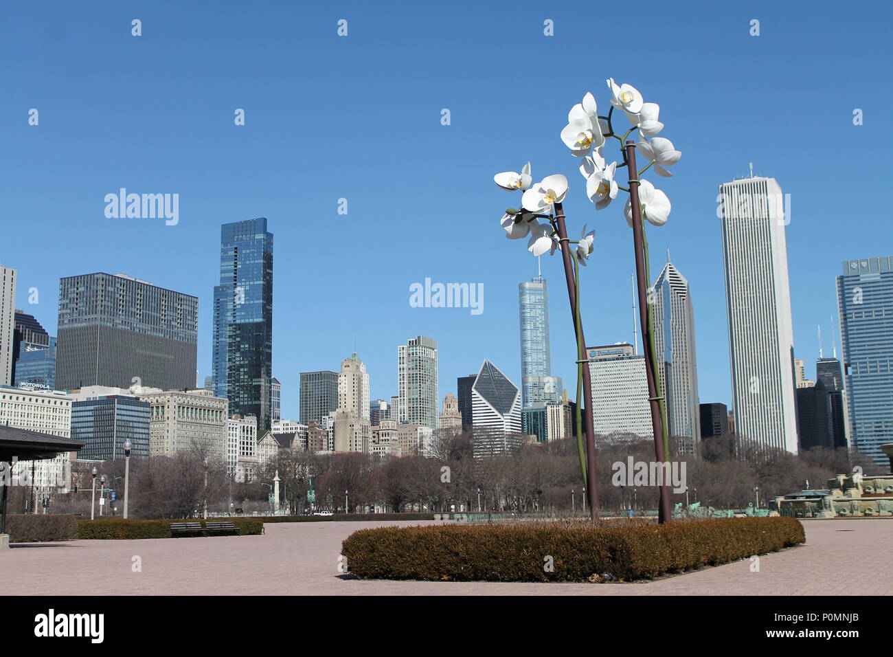 Downtown Chicago a.k.a. Windy City. Foto Stock