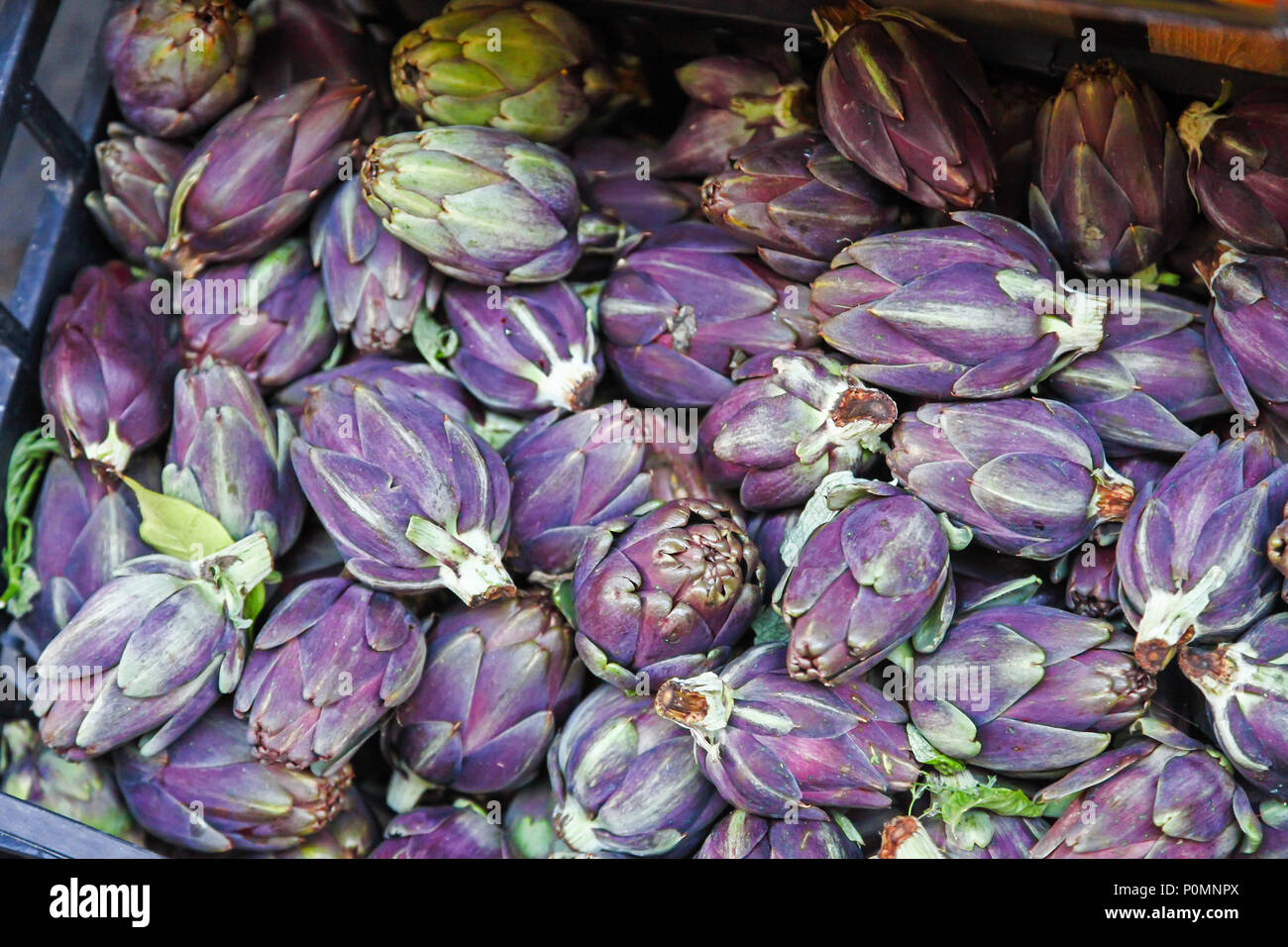 Fiesole carciofi in vendita in un mercato di Sorrento, che sono un bambino speciale varietà di carciofo con un ricco di colore viola Foto Stock