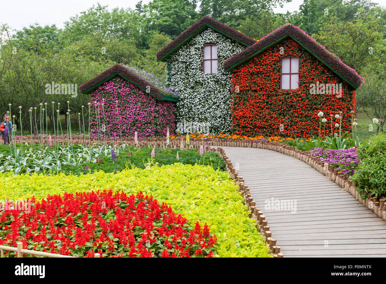 Yangzhou, Jiangsu, Cina. Case coperte di fiori nel giardino fiorito della esile West Lake Park. Foto Stock