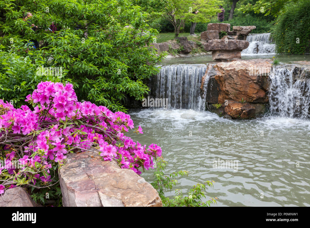 Yangzhou, Jiangsu, Cina. Flusso e azalee nel giardino fiorito della esile West Lake Park. Foto Stock