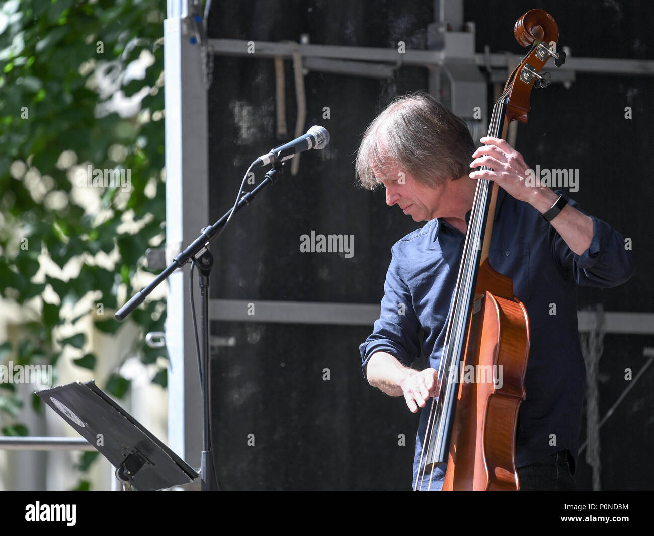 Backa Hans Eriksson giocando contrabbasso durante una molto apprezzata la libera concerto pubblico durante la celebrazione della festa nazionale nel Parco Olai di Norrkoping. Foto Stock