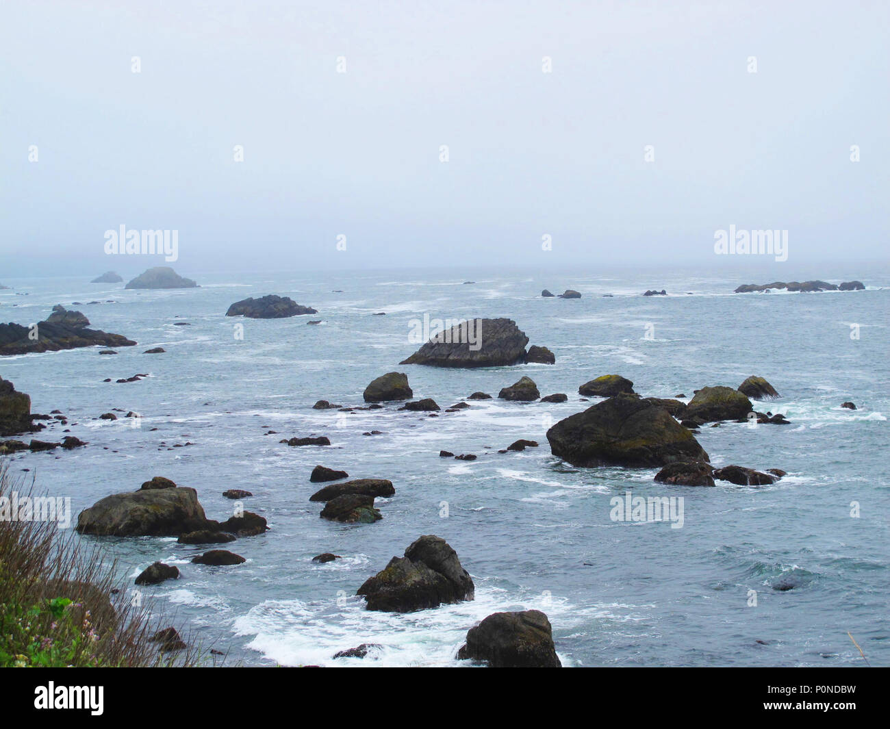 Rocciosa costa del Pacifico del nord della California nel blu nebbia di mattina Foto Stock