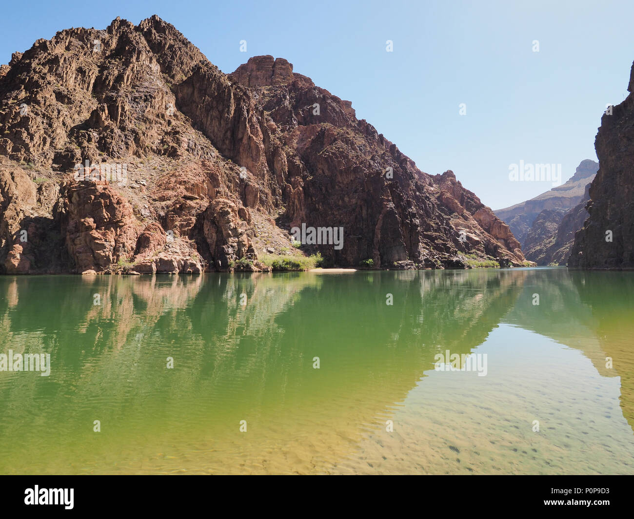 Un placido tratto del fiume Colorado appena al di sopra del granito rapide nel Parco Nazionale del Grand Canyon, Arizona. Foto Stock