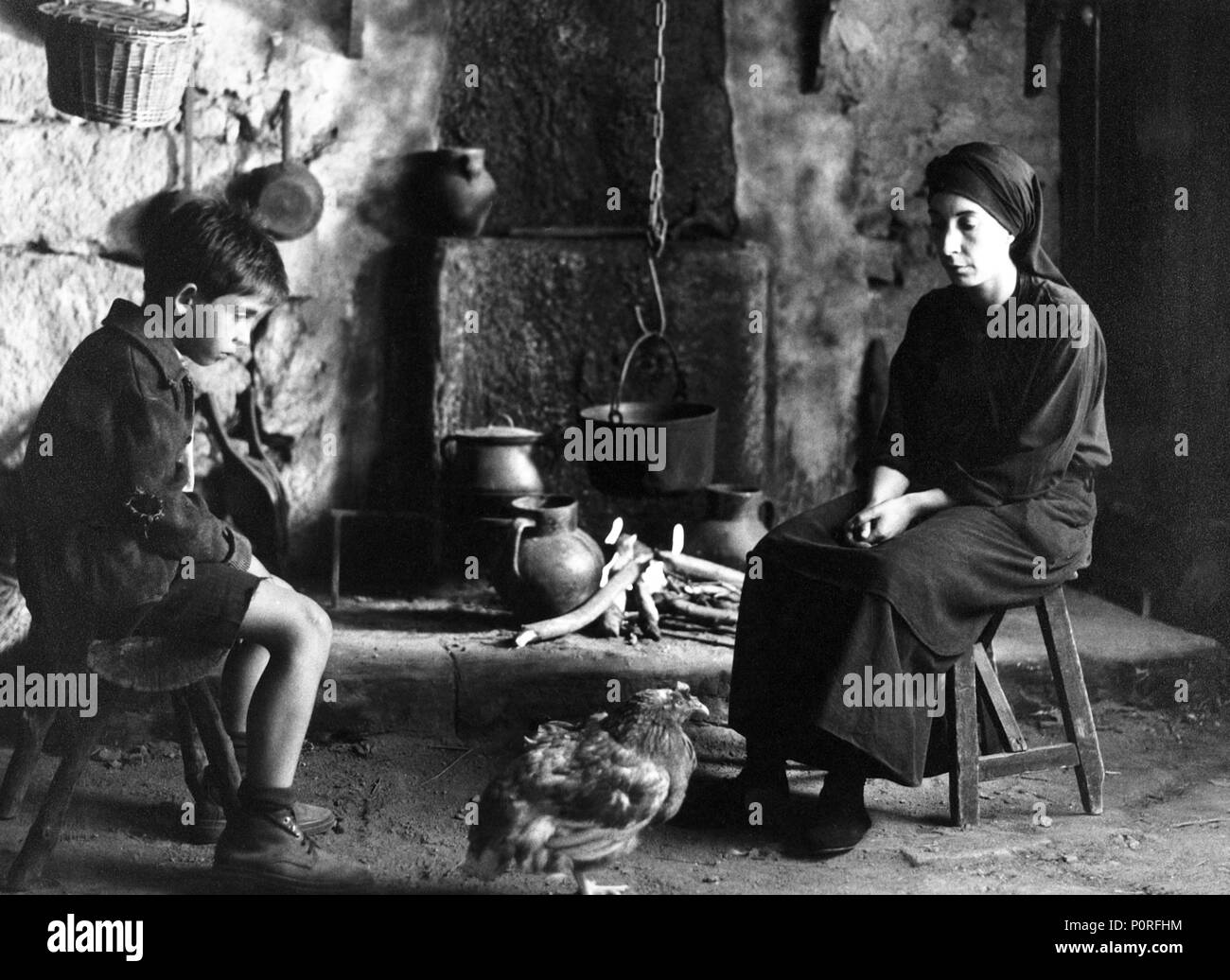 El bosque animado immagini e fotografie stock ad alta risoluzione Alamy