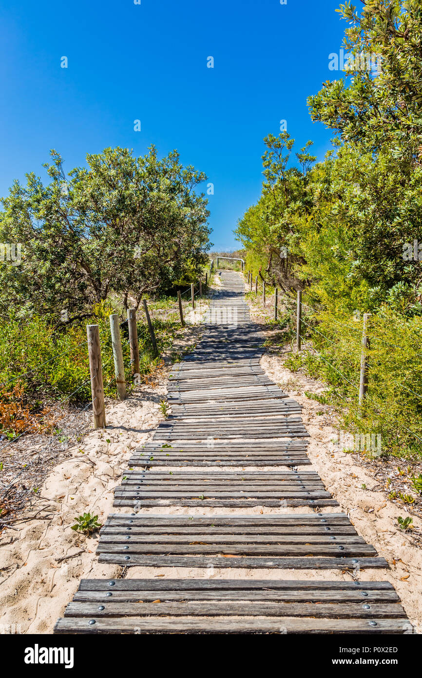 Spiaggia di passerella in legno immagini e fotografie stock ad alta ...