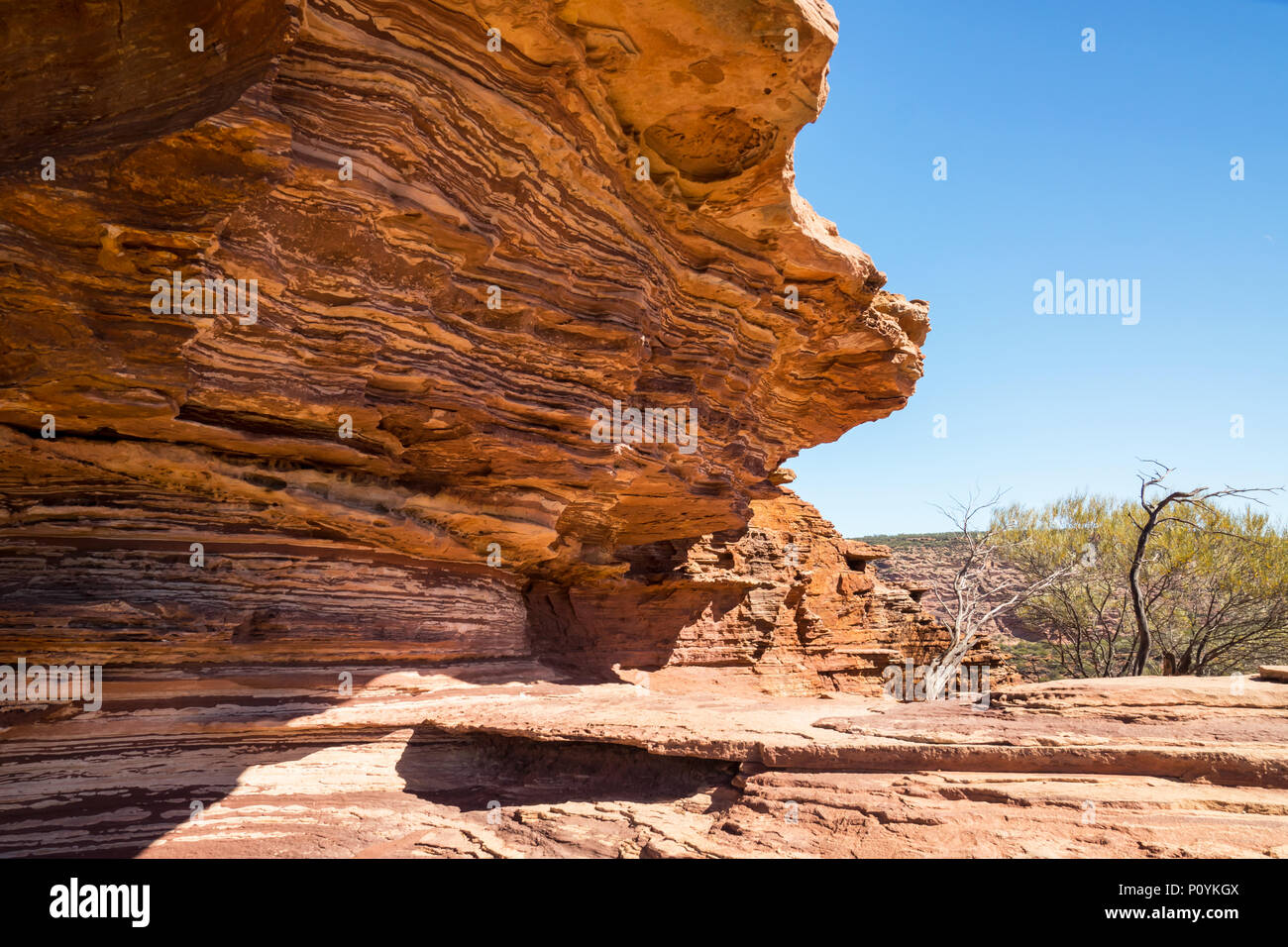 Roccia calcarea in Kings Canyon nel Territorio del Nord, l'Australia. Foto Stock