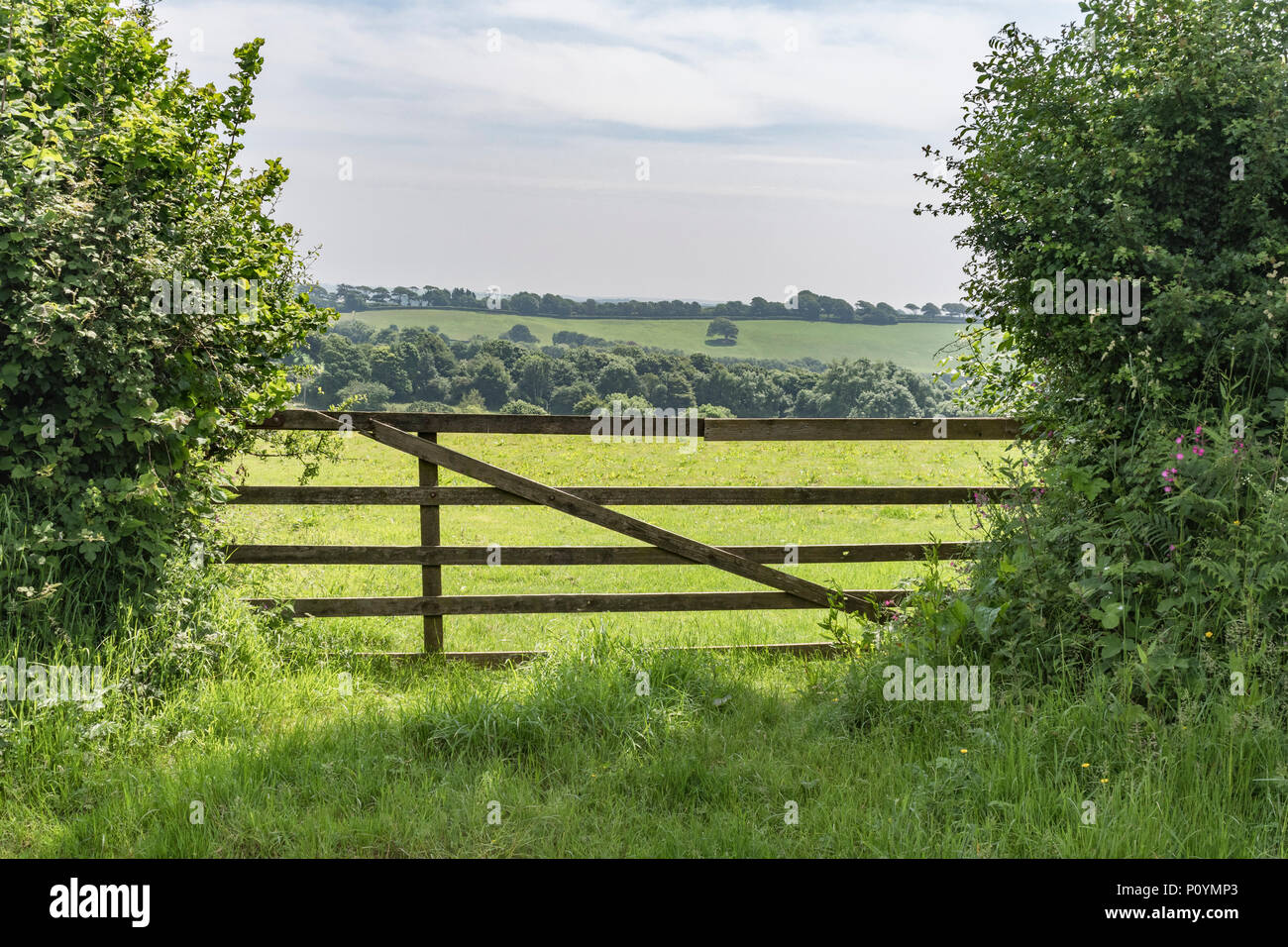 Cancelli di ingresso al campo con la campagna lontani. Metafora per il Regno Unito per l'agricoltura, ma anche le restrizioni di accesso, accesso negato, la sicurezza dei dati. Foto Stock