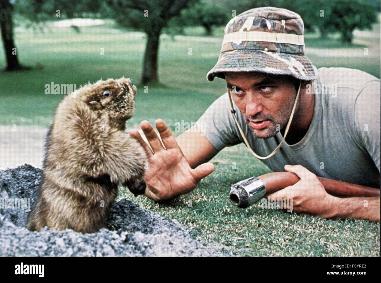 Pellicola originale titolo: CADDYSHACK. Titolo inglese: CADDYSHACK. Regista: Harold Ramis. Anno: 1980. Stelle: Bill Murray. Credito: WARNER/ORION / Album Foto Stock