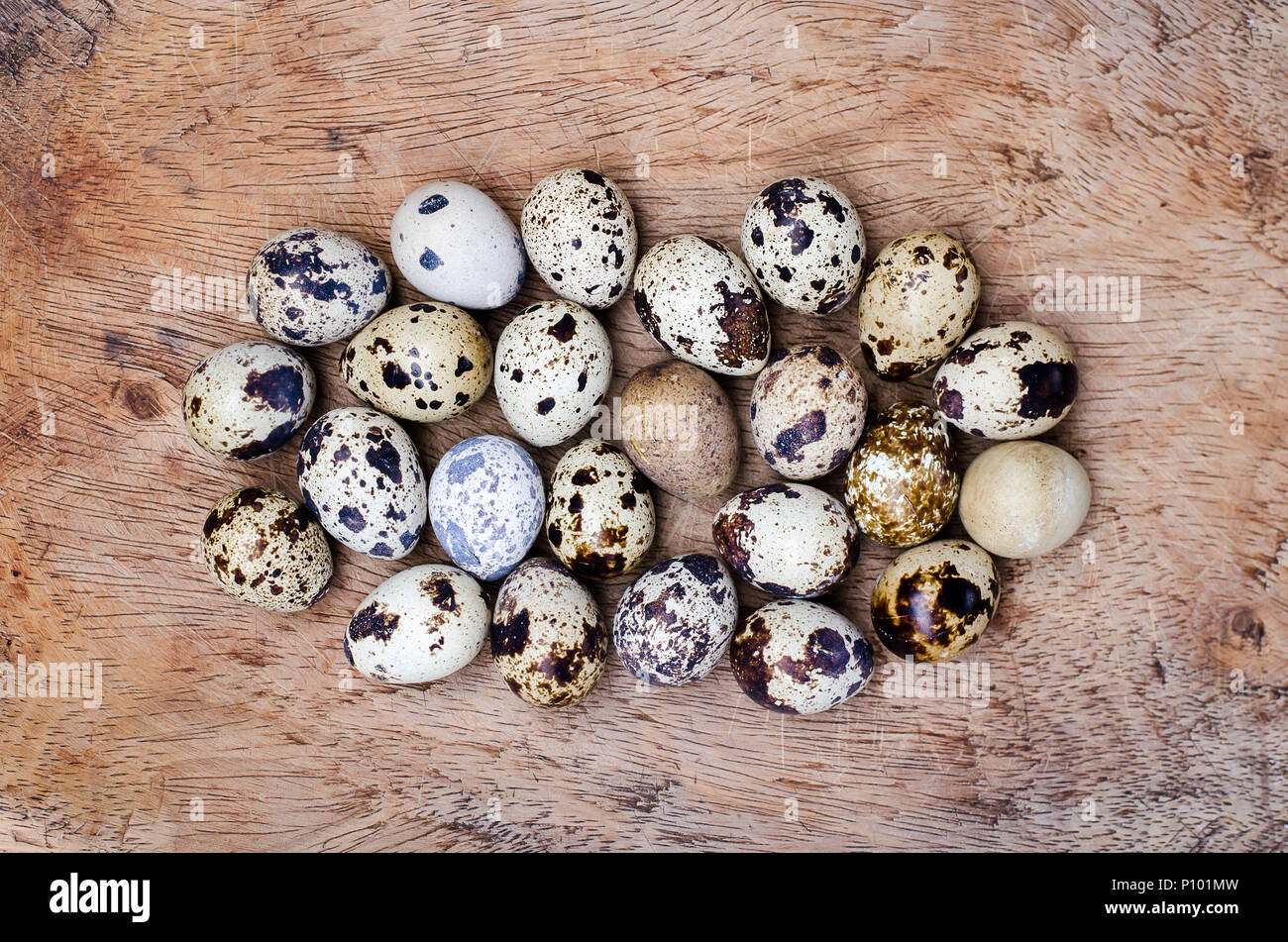 Delicate uova di quaglia con affascinanti macchie marroni, in attesa di avventure culinarie nelle loro piccole conchiglie. Foto Stock