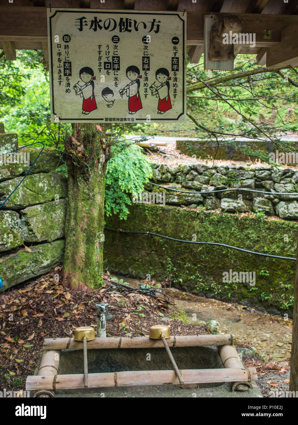 Temizuya, fontana, con scheda di istruzioni per il rituale di purificazione dell'acqua, fatto prima di entrare il giapponese luogo sacro, Osaki Hachiman lo Shintoismo Foto Stock