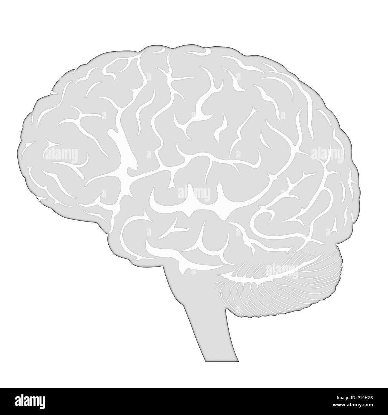 Cervello malattie degenerative, morbo di Parkinson, Sinapsi, neuroni, il morbo di Alzheimer, rendering 3D Foto Stock