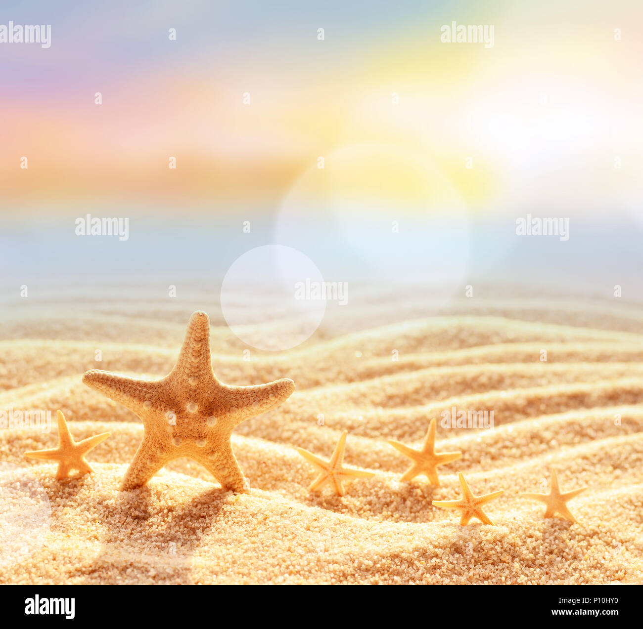 Crazy starfish avendo divertimento sulla spiaggia di estate Foto Stock