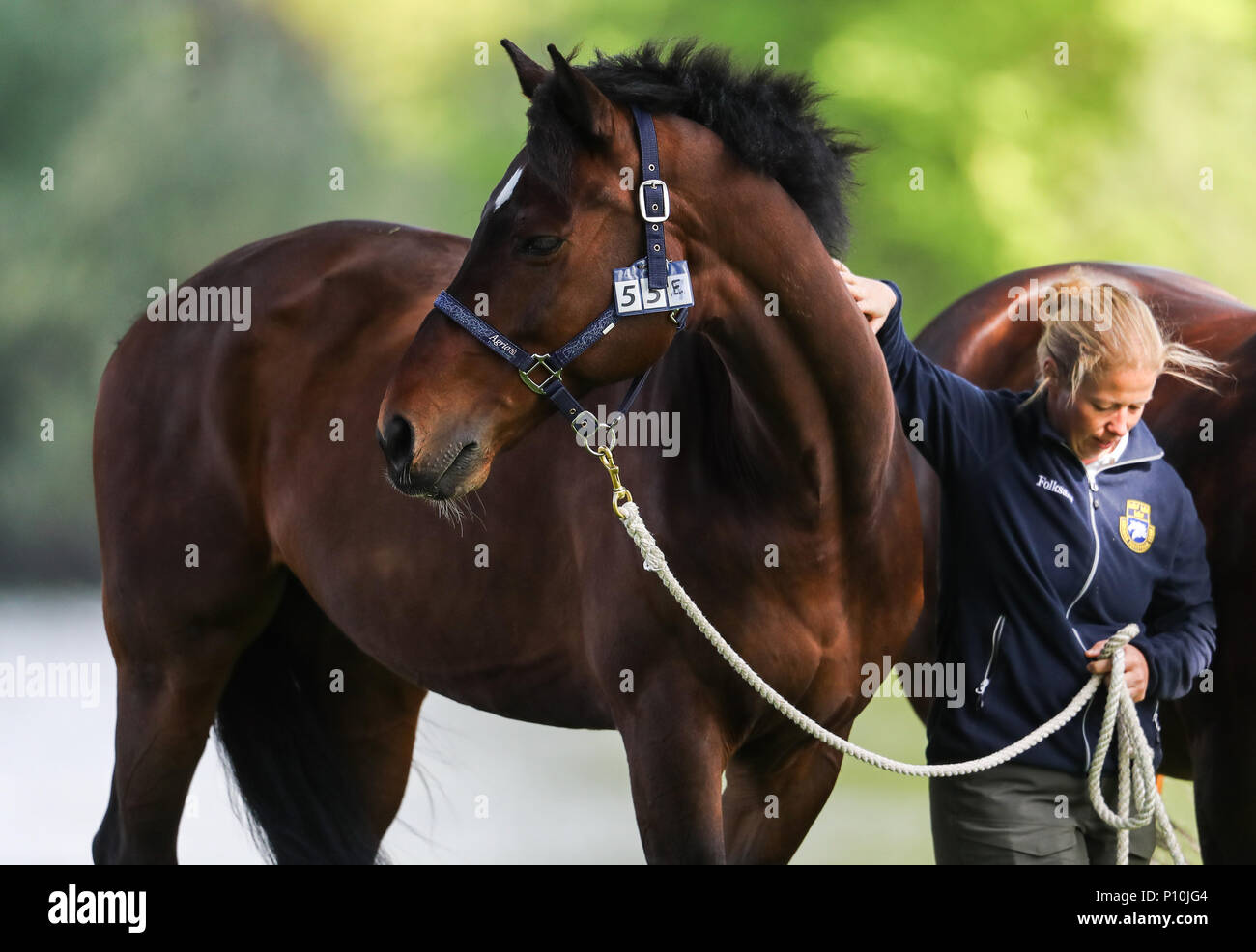 Il 2018 Royal Windsor Horse Show avviene nel terreno privato sul Castello di Windsor con: atmosfera dove: Windsor, Regno Unito quando: 10 maggio 2018 Credit: John Rainford/WENN.com Foto Stock