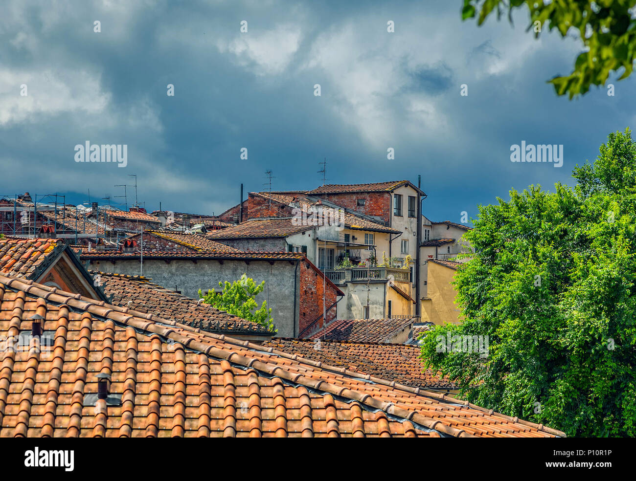 Vecchia città italiana di Lucca. Vista dal muro di fortificazione. Foto Stock